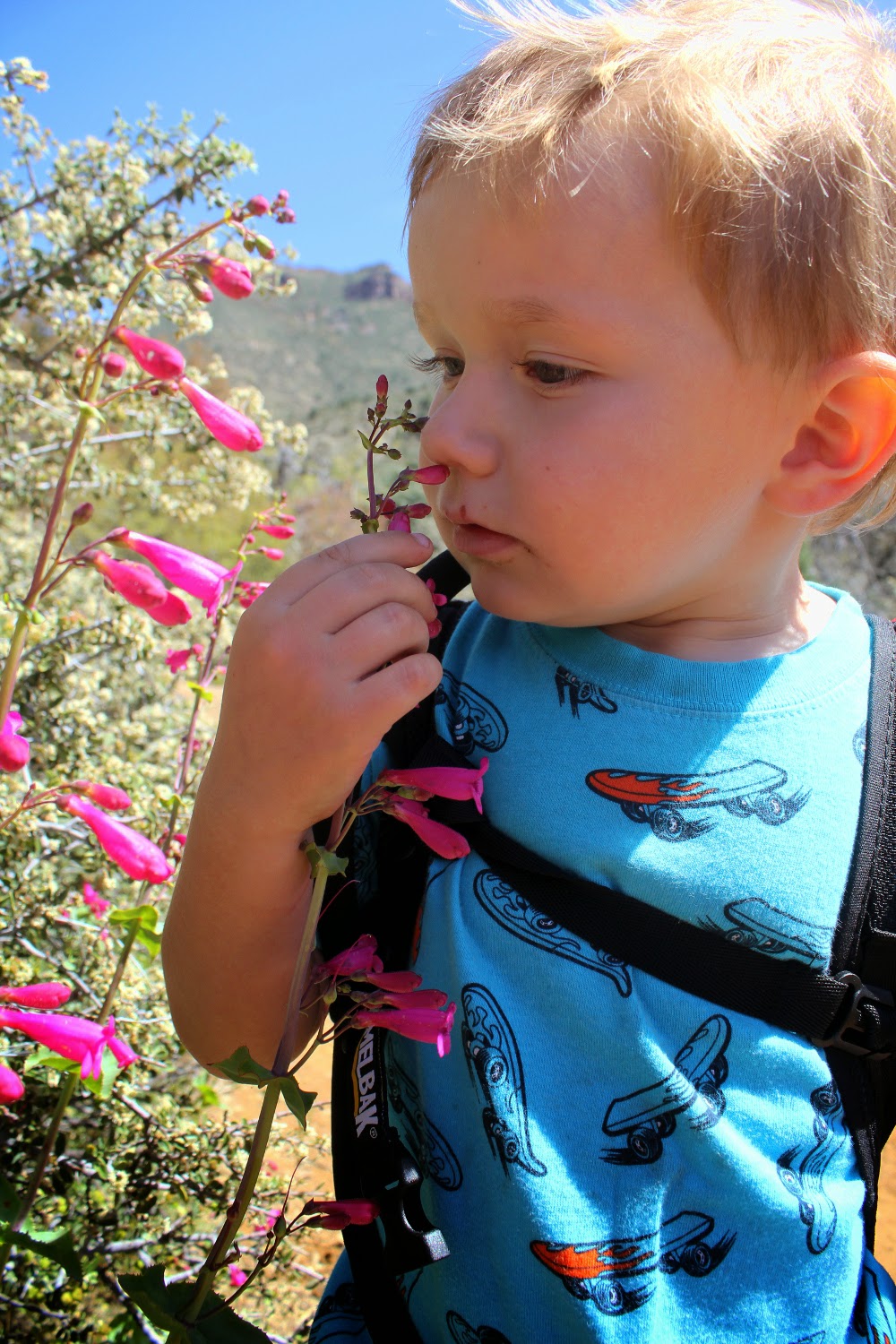 IMG_3484.JPG height=640